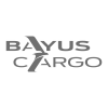 Bayus Cargo